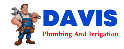 Trusted plumber in SUMNER